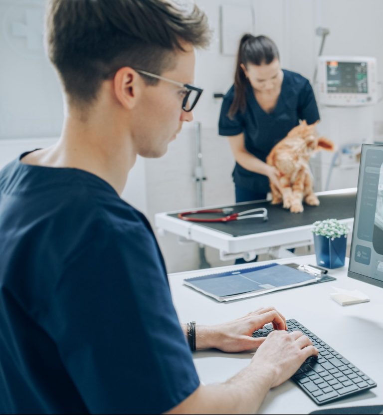 Financiarisation de la profession vétérinaire lutte pour l’indépendance gpm groupe pasteur mutualité