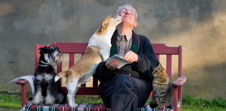Chiens, chats et maisons de retraite